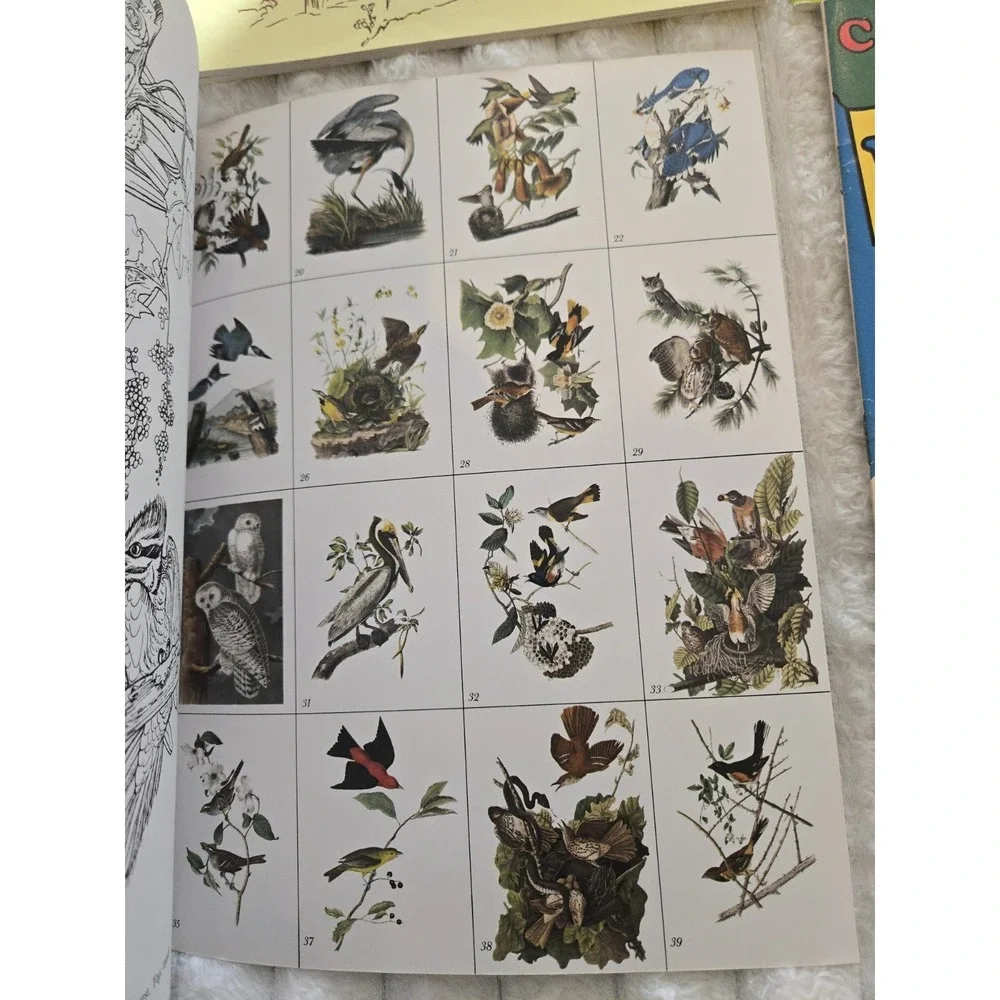 4 Nature Coloring Books Florida Audubon's Birds Everglades West Wildlife Gift